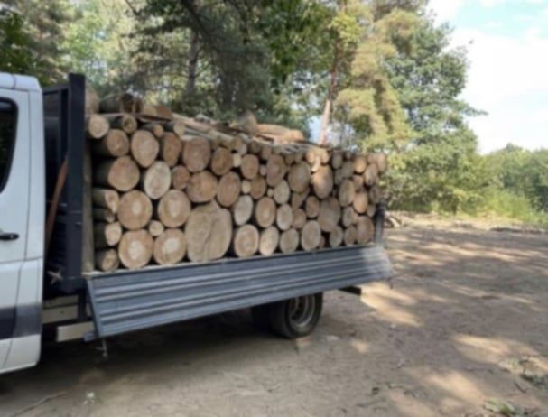 Lemne  de foc  esență  tare  fag cer carpen