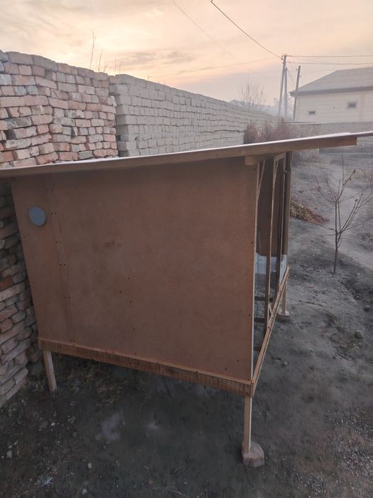 Kakat. Tovuqlar uchun