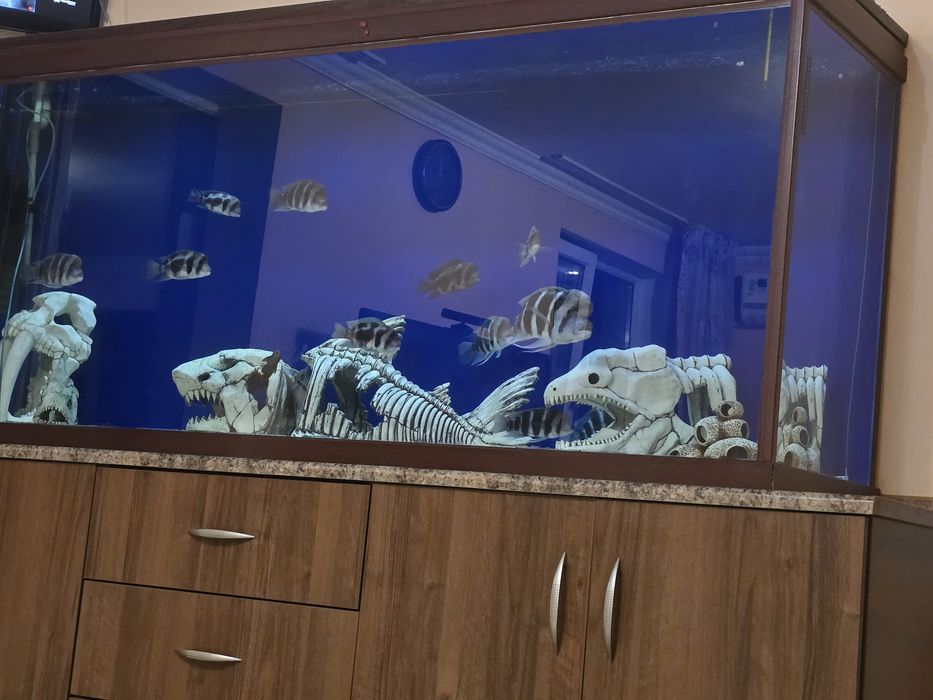 Продам аквариум большой