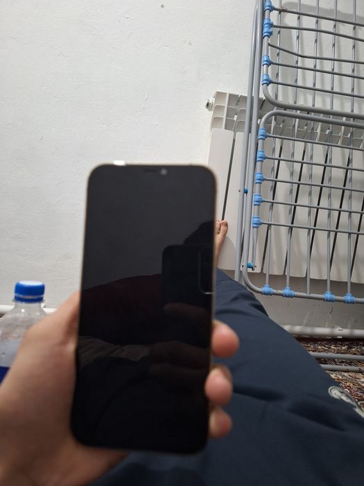 12про макс 77 емкость