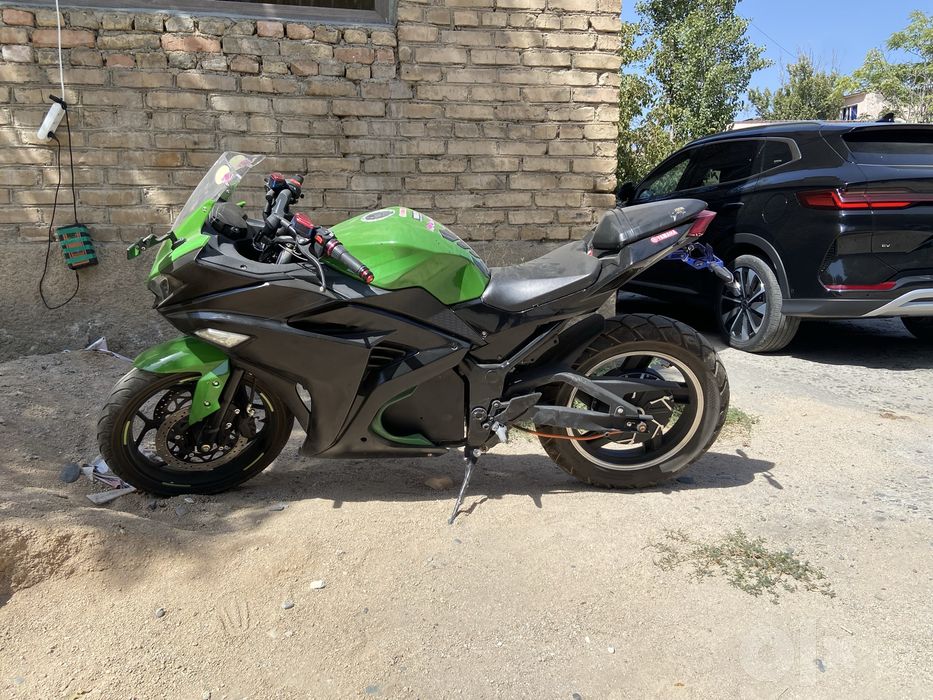 Little ninja 3000w