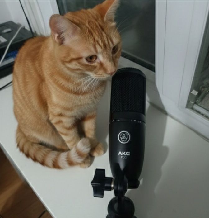 Студийный микрофон