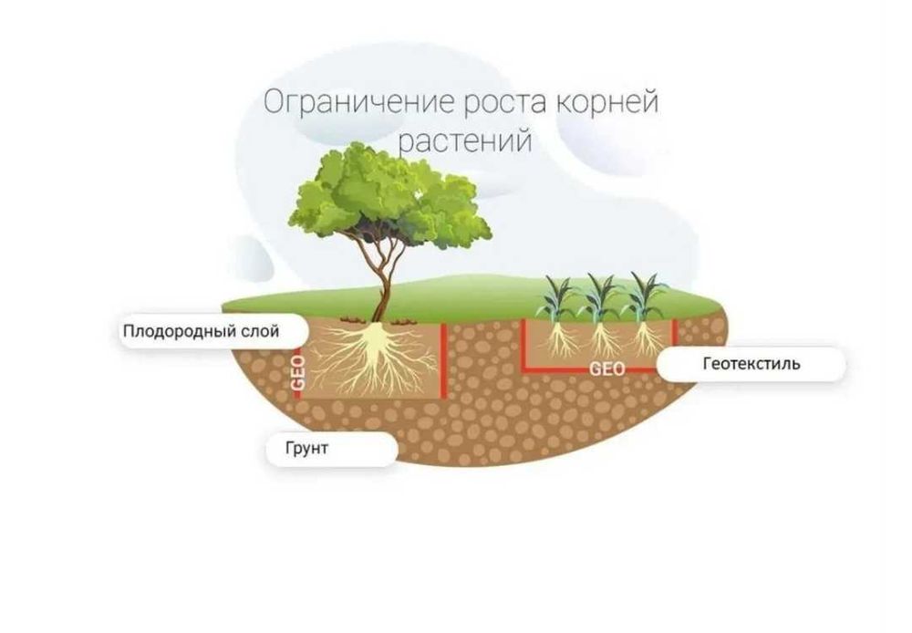 Геотекстиль иглопробивной дорнит. Фундамент, дренаж, против сорняков.