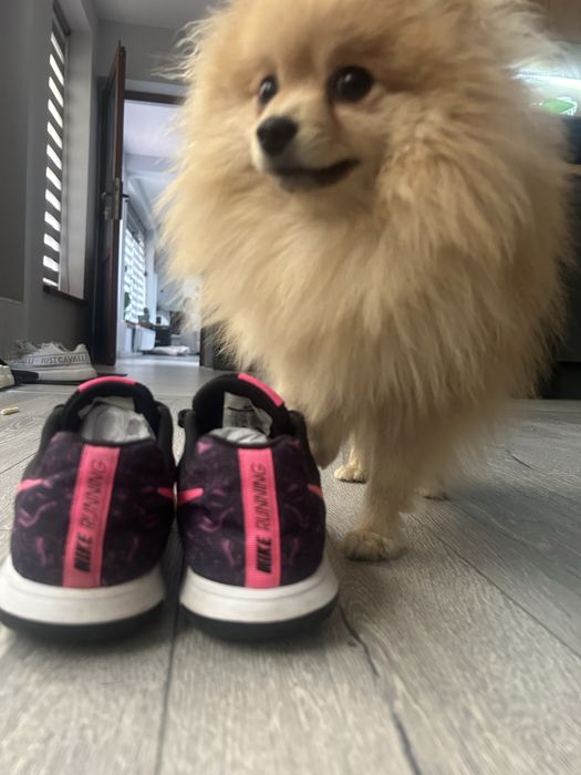 Маратонки Nike Flex Experience RN 5