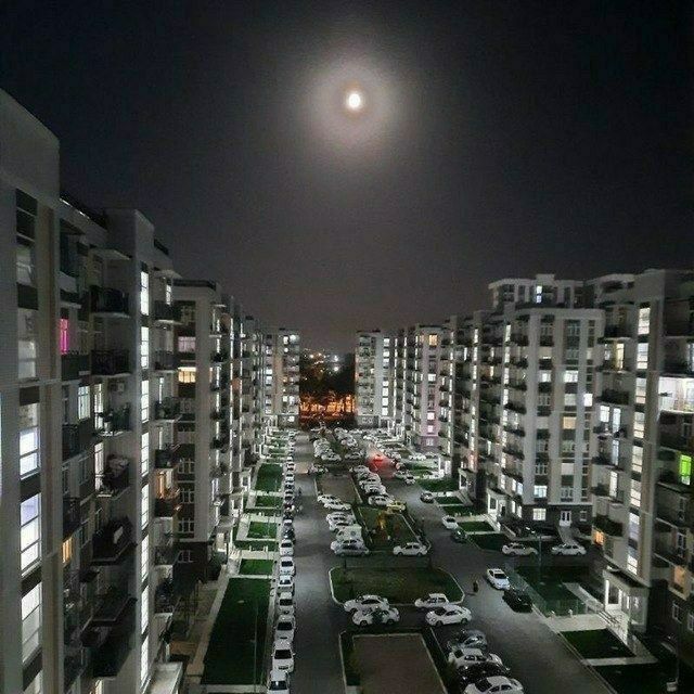 Мирзо Улугбек тумани, Корасув-6 да Академияни якинида ижарага