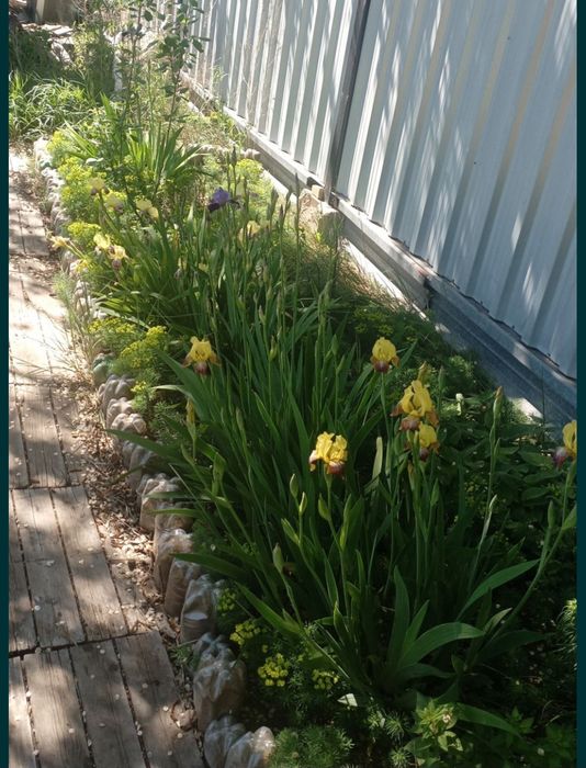 Продам дом с участком, район Акжар 2.