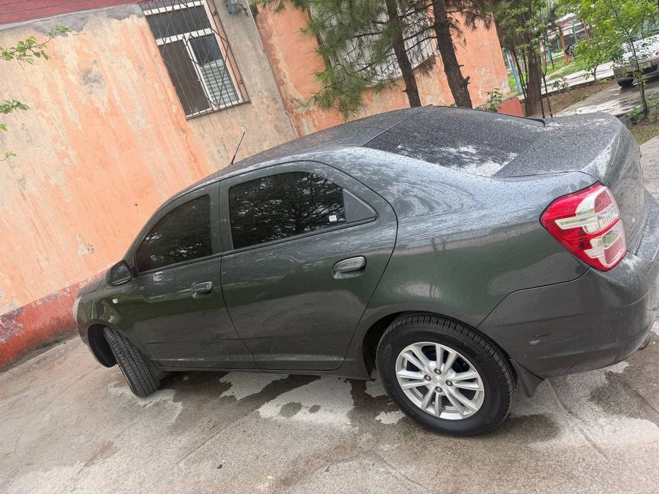 Cabolt 2024 kraska tozza