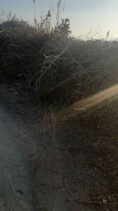 Утин сотилади тезда