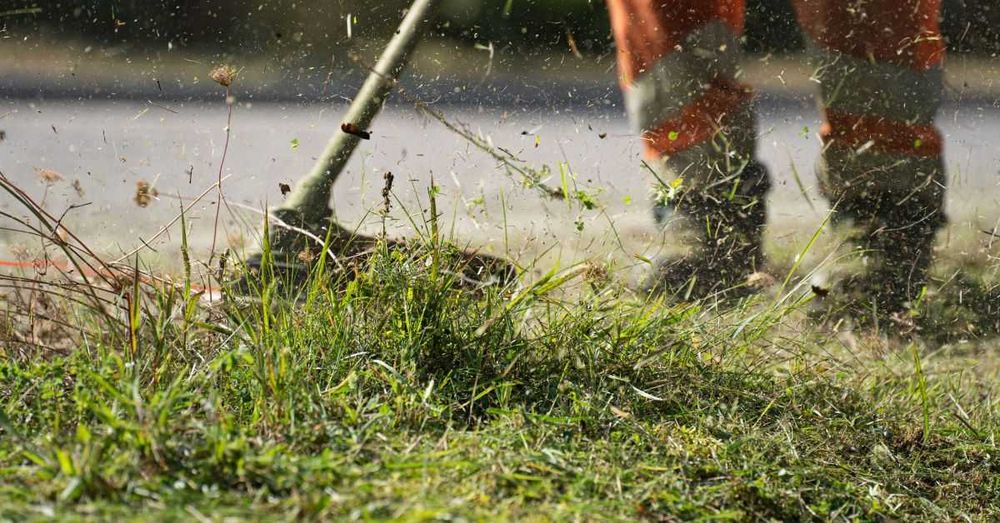 Озеленяване и поддръжка на зелени площи