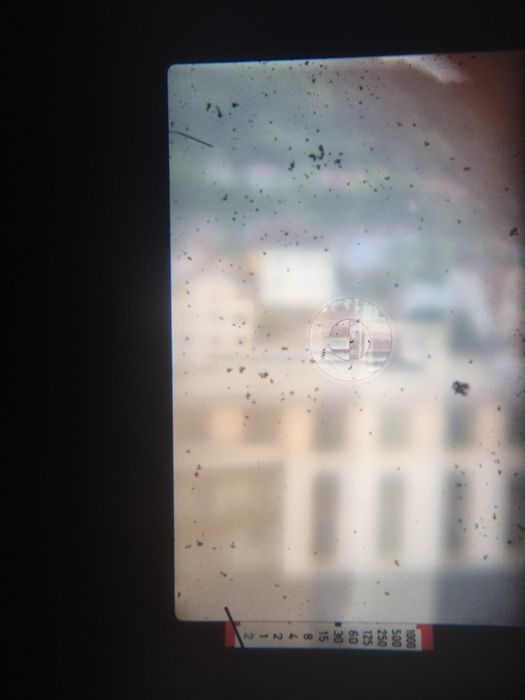 SLR Canon AV-1 cu obiectiv fd 50mm f1,8