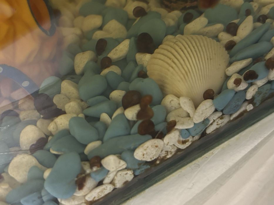 Отдам улиток катушки