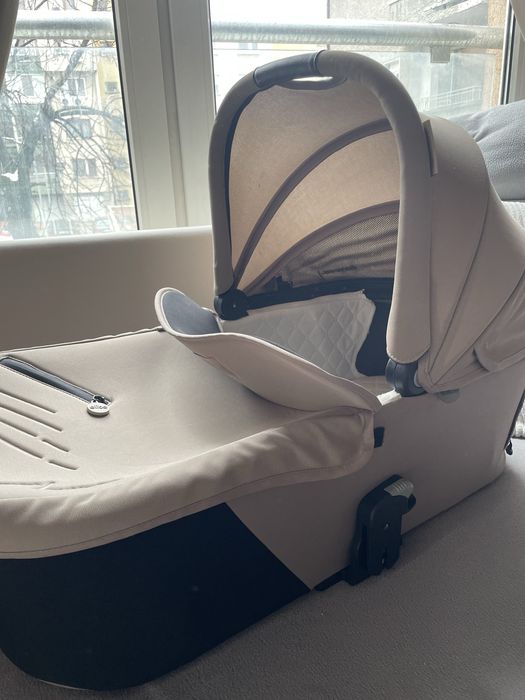 Chipolino elite 2024