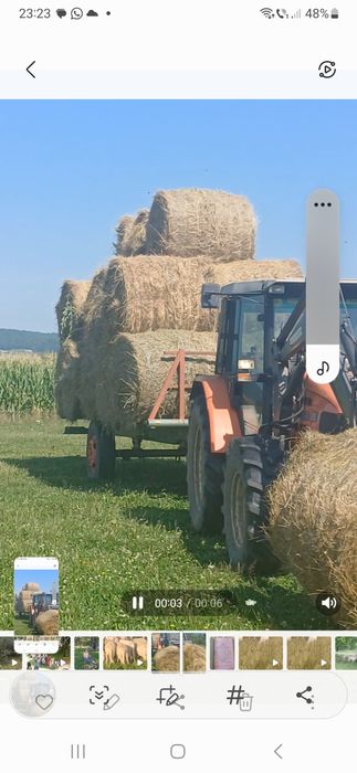 Baloti rotunzi de Fan