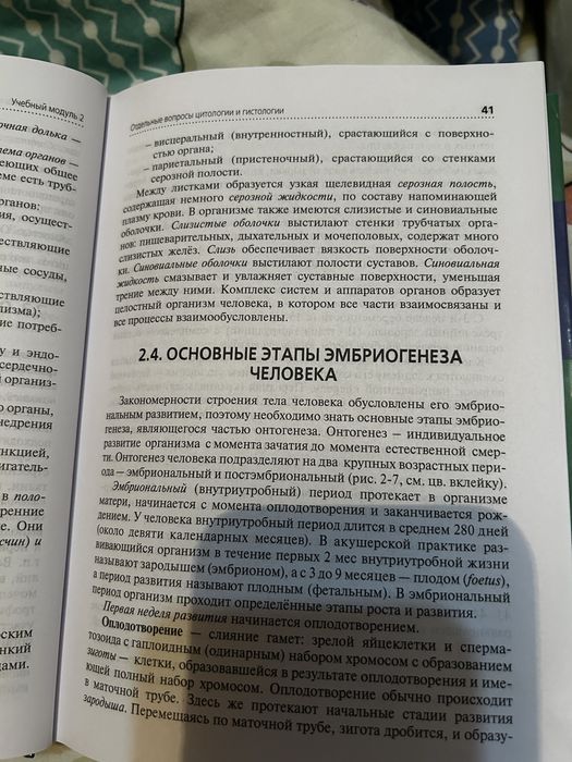 Дождевик и ботиночки для собак мелких пород