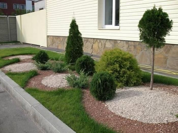 Gazon, рулон газон, арча, гул экамиз