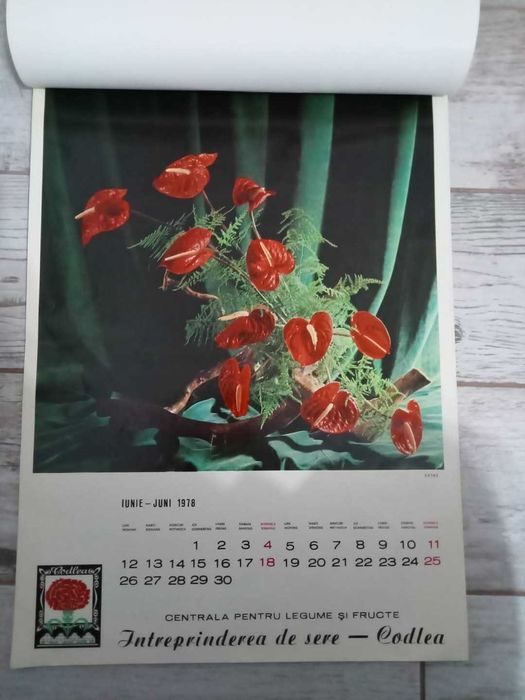 Calendar vechi Floraria Codlea,1978, perioada comunista, Sere Romania