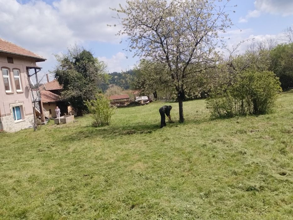Косене на трева, поддръжка на зелени площи