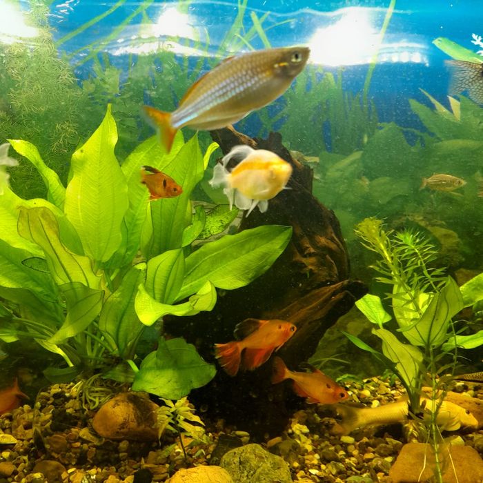 Аквариум 180л и тумба под него