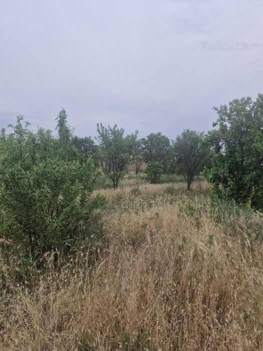Srachna uchaska sotiladi hujjatlari bor