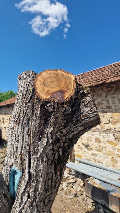 Орех за материал