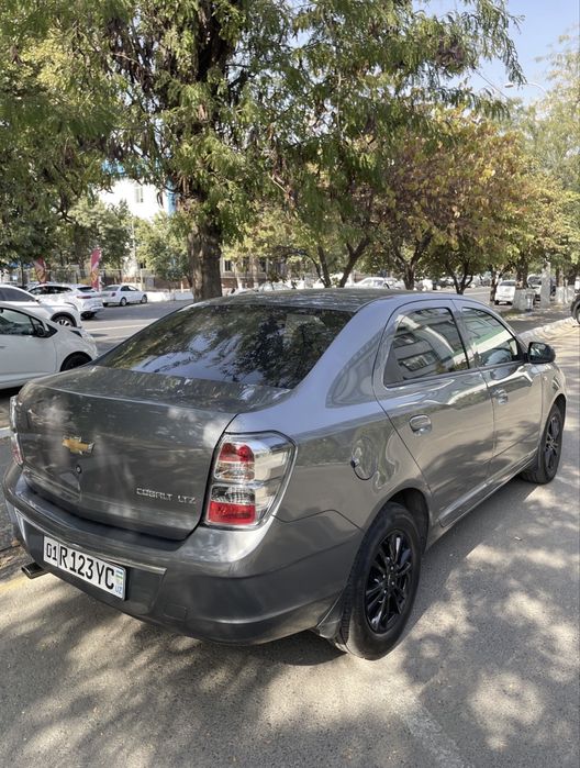 Cobalt Midnight 2025