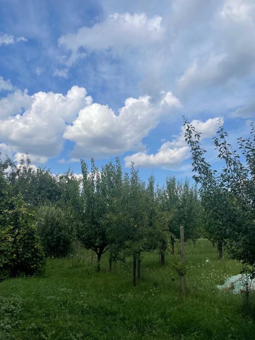 CASA  IN CUCI + 1 ha teren