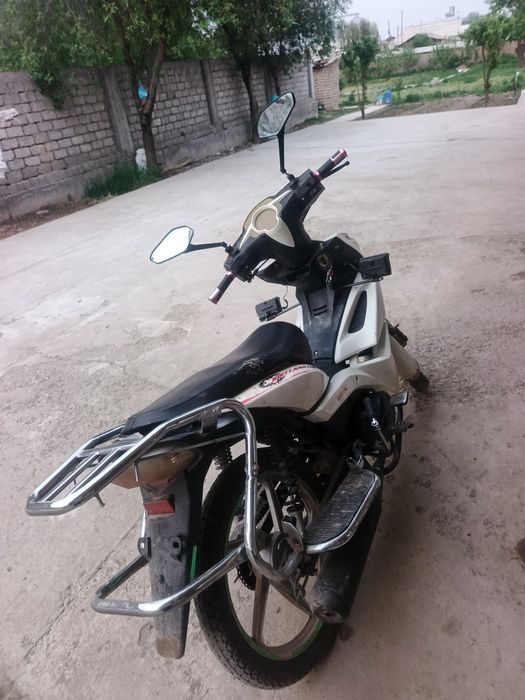 Moto bekland 2024