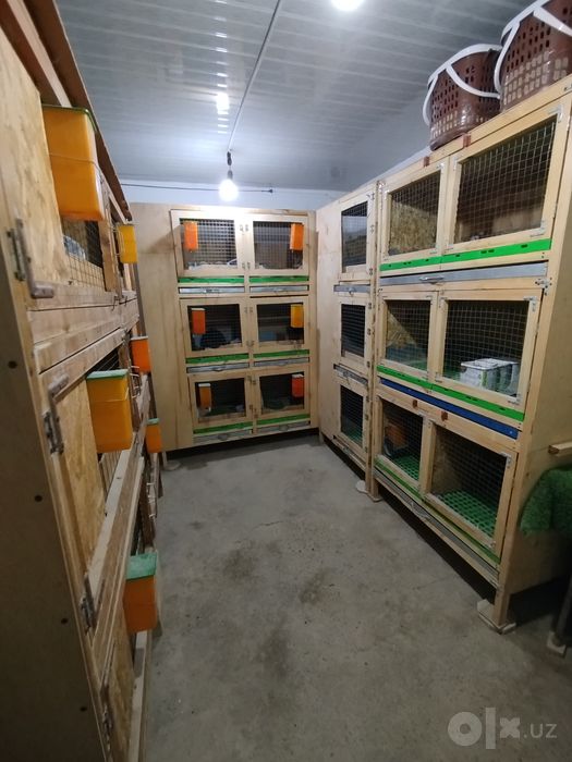 Karlik va Vesavoy quyonlar uchun moljallangan qafaslar
