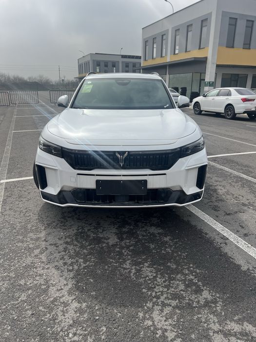 voyah free 318 appolateche