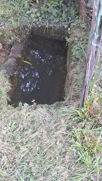 Vând casă cu teren intravilan