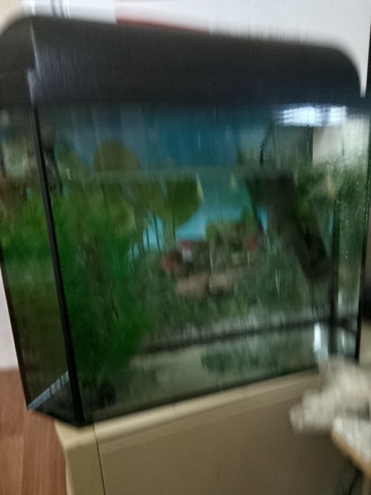 Аквариум аквариум