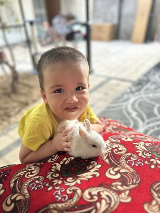 Basmala Farm – Quyon sevuvchilar uchun eng yaxshi tanlov!