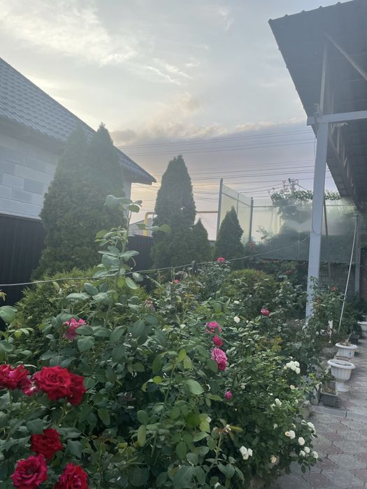 Недвижимость в бесагаше