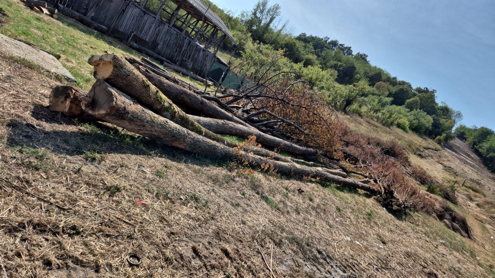 Lemne de vanzare .Salcâm și Stejar.