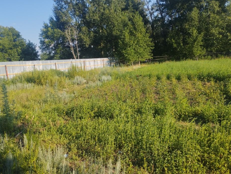 Продам дом в поселке красный кордон