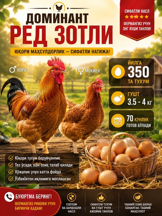 Швециядан келитирилган