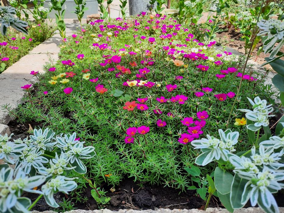 Продам дачу 8 соток