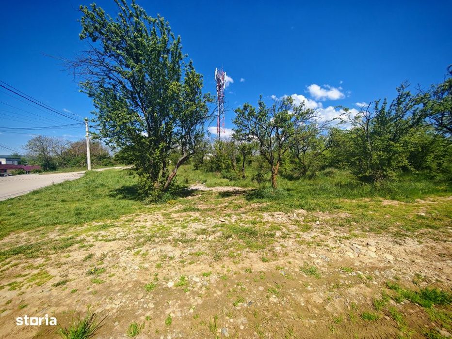 Teren central intravilan in Mioveni