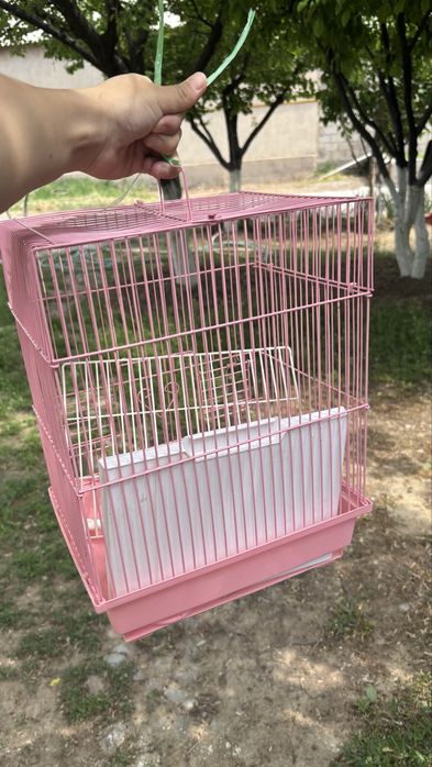 Клетка сетка сатылады попугайдың