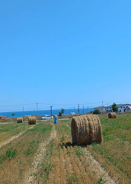 TEREN 1250 mp.,  Costinești