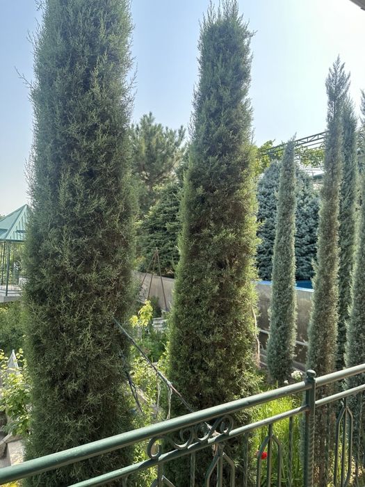 Продается Дача в Кибрайском районе