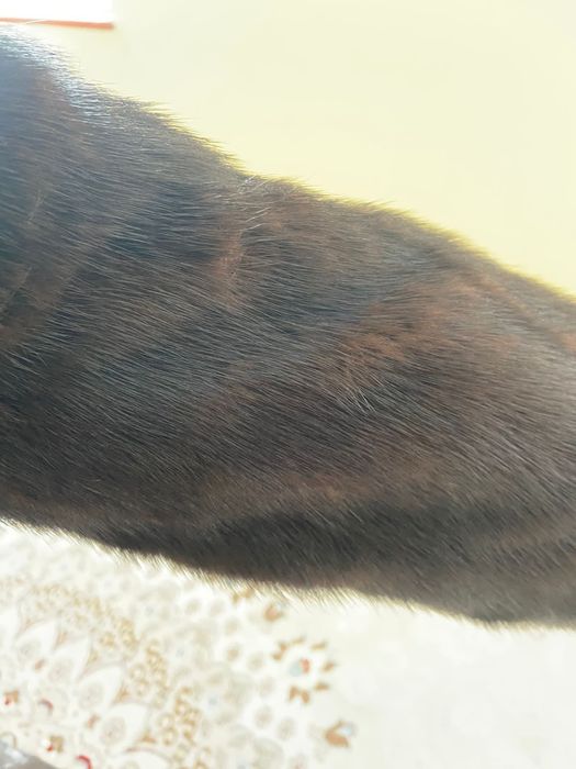 Продаётся норковая шуба