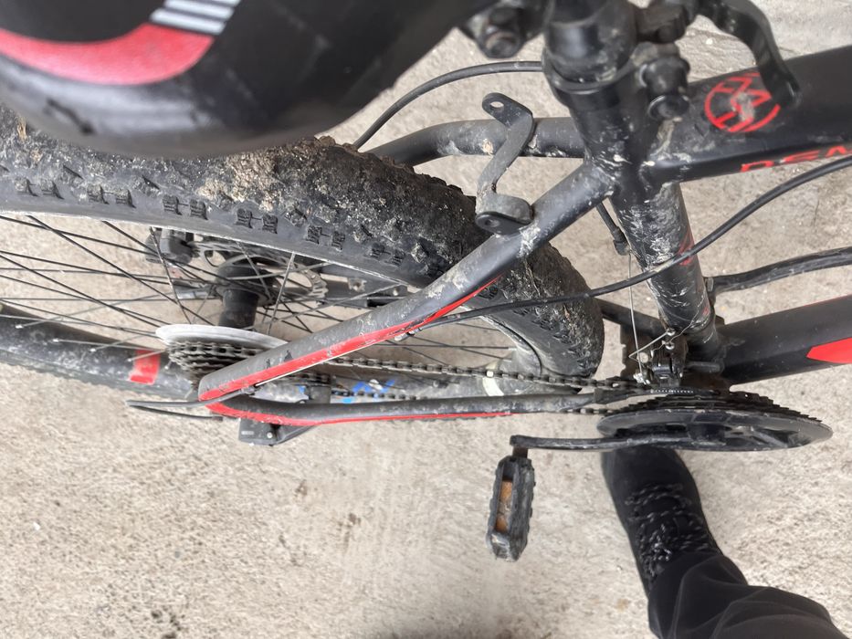 Прадаю велик норм