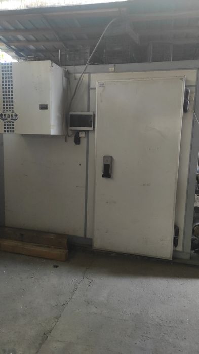 Сдам в аренду камеру морозильную