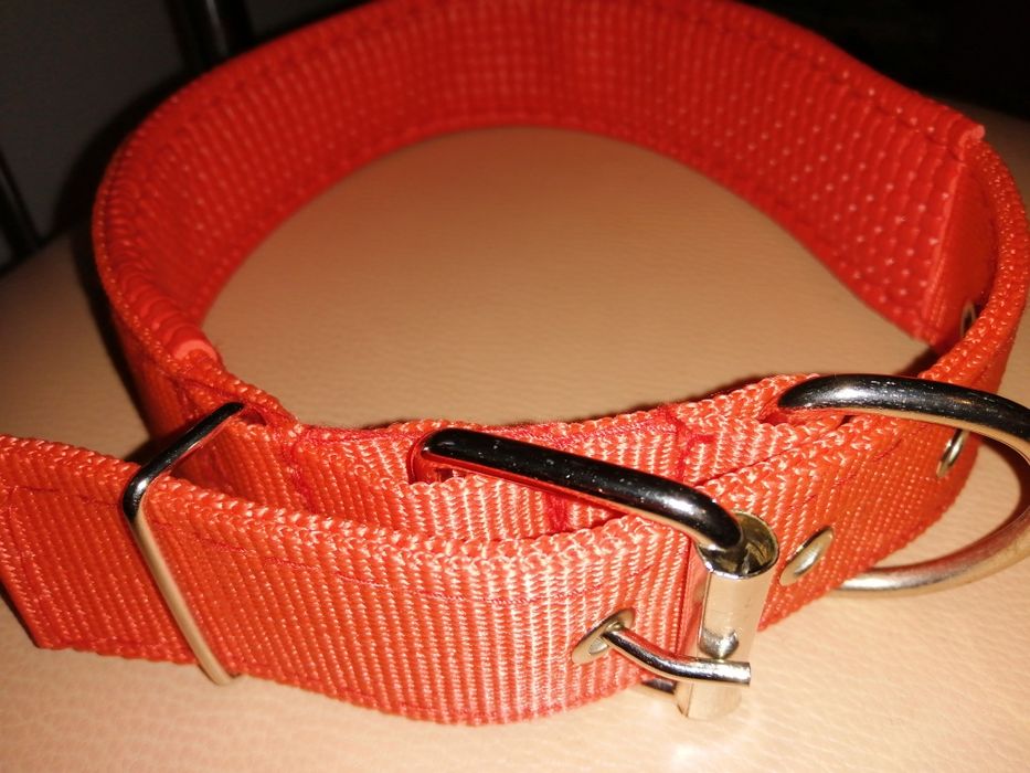 Ошейник для собаки