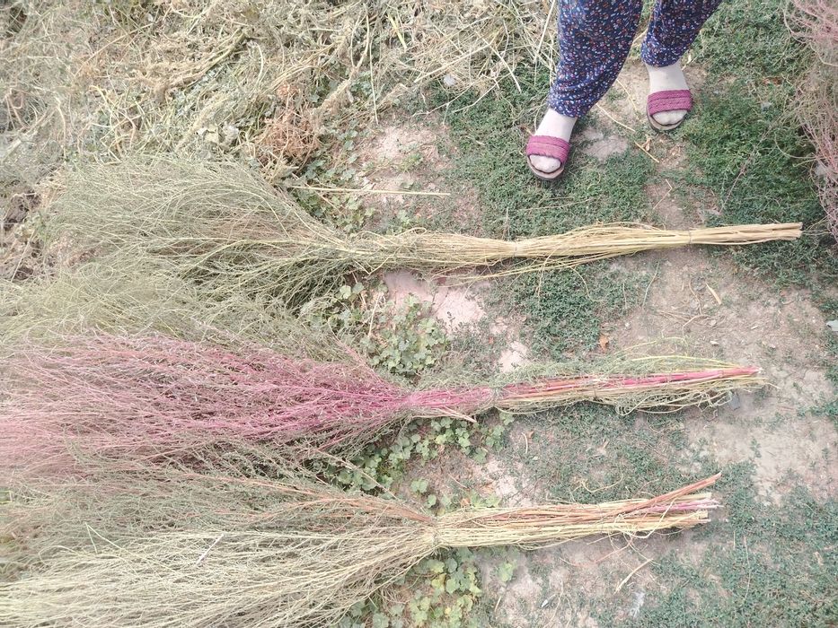 Arab ona va ogli jinsiy kamera