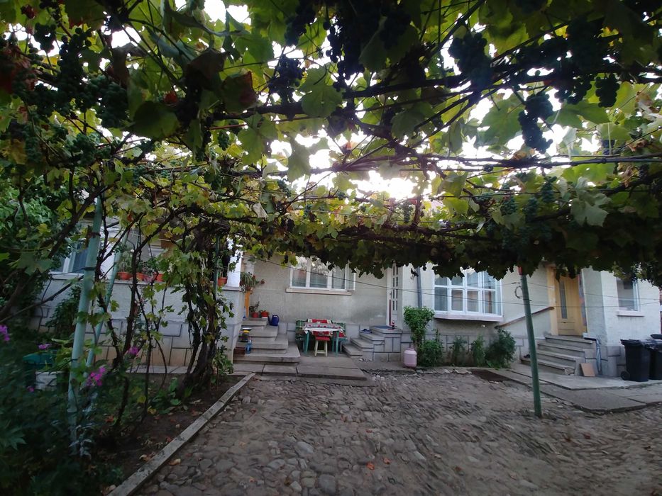 Oferta primavara/vara