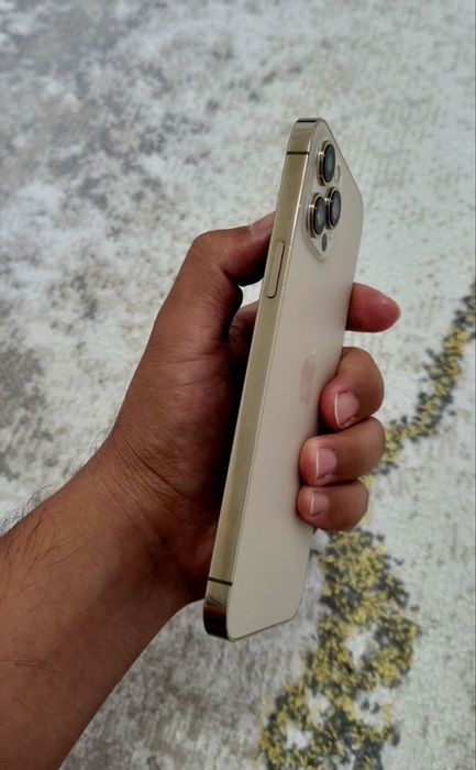 iPhone 12 Pro Max / 256 GB