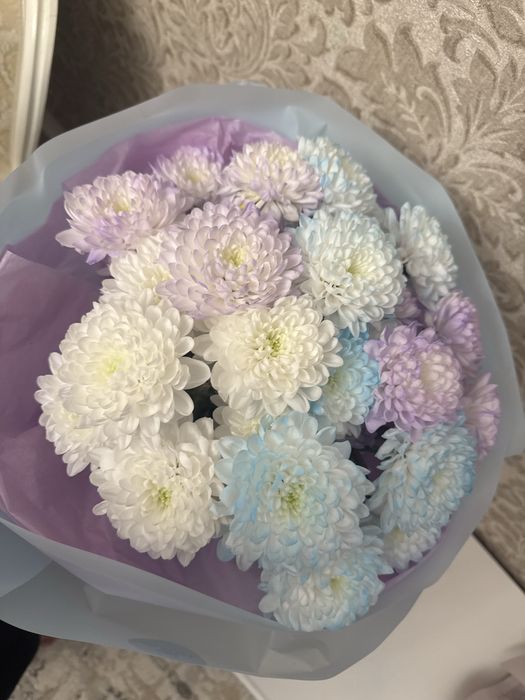 Свежие цаеты очень красивые