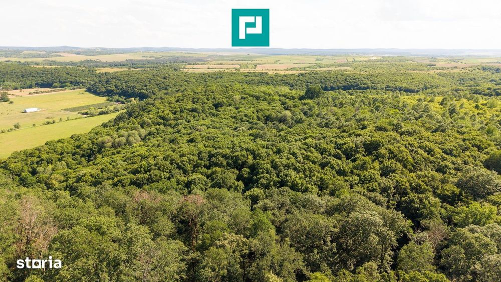 Teren Agricol Extravilan  22.900 Mp Lipova